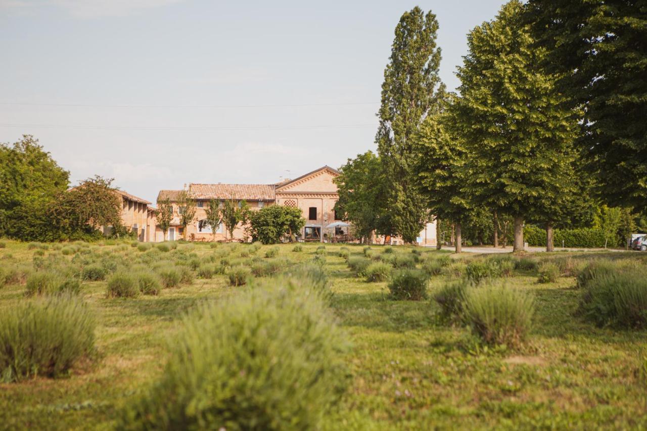 Agriturismo Il Capitolo Carpaneto Piacentino Buitenkant foto