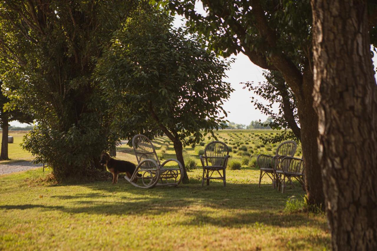 Agriturismo Il Capitolo Carpaneto Piacentino Buitenkant foto