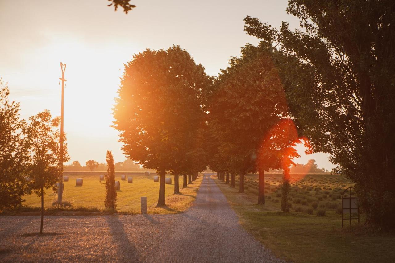 Agriturismo Il Capitolo Carpaneto Piacentino Buitenkant foto