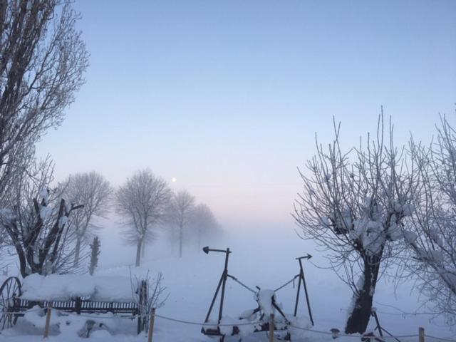 Agriturismo Il Capitolo Carpaneto Piacentino Buitenkant foto